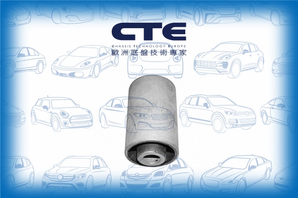 Mounting, control/trailing arm (CBH01013)