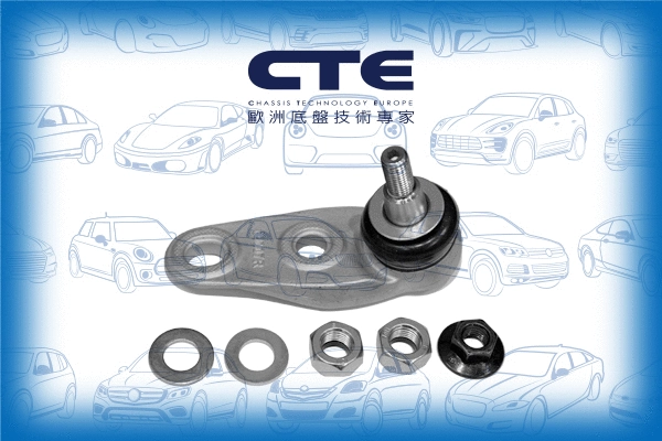 Ball Joint (CBJ09007RA)