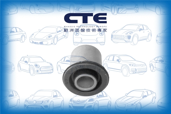 Mounting, control/trailing arm (CBH15021)