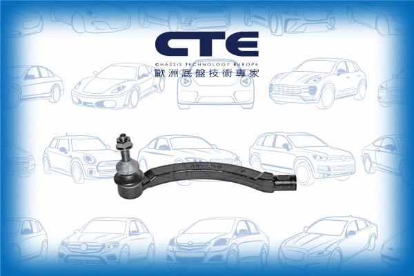 Tie Rod End (CTE17004L)