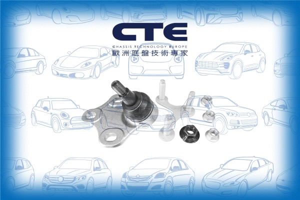 Ball Joint (CBJ19010RA)