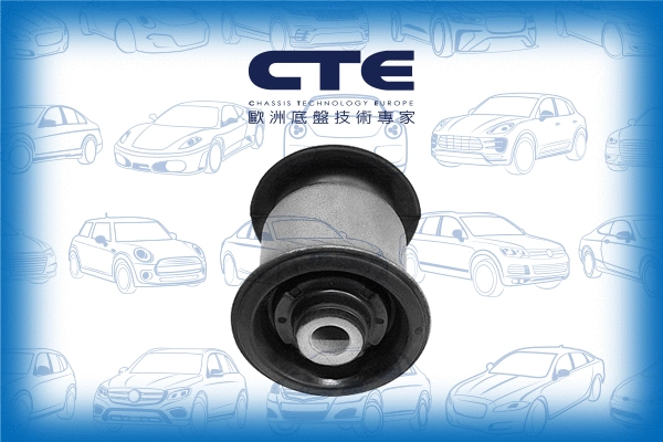 Mounting, control/trailing arm (CBH20024)