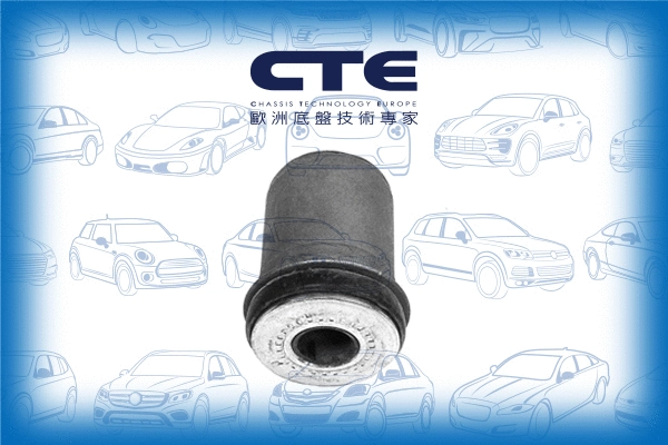 Mounting, control/trailing arm (CBH02016)