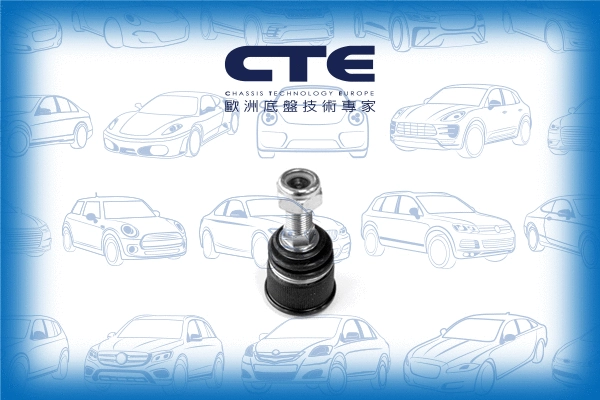 Ball Joint (CBJ21004)