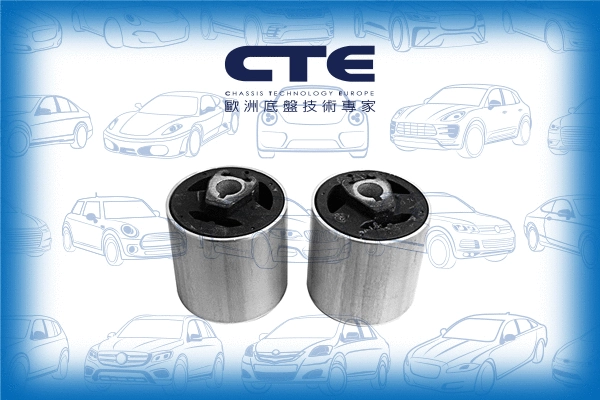 Mounting, control/trailing arm (CBH09022)