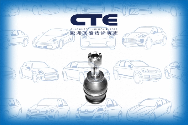 Ball Joint (CBJ18001)