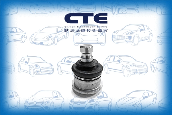 Ball Joint (CBJ10005)