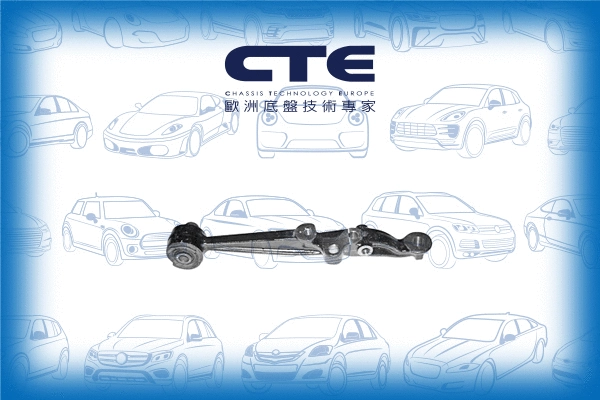 Control/Trailing Arm, wheel suspension (CS-244R)