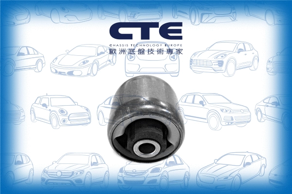 Mounting, control/trailing arm (CBH03066)