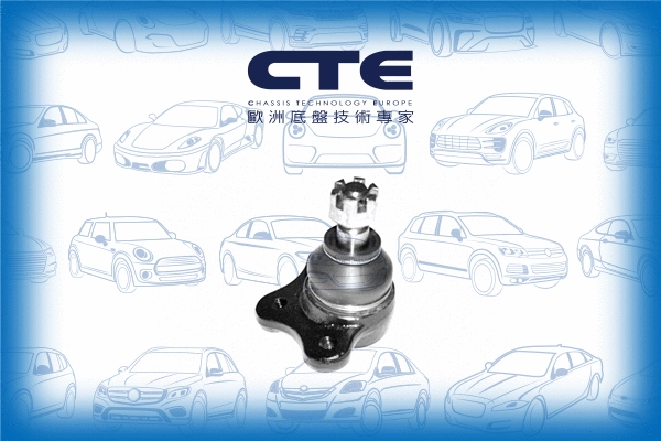 Ball Joint (CBJ03006)