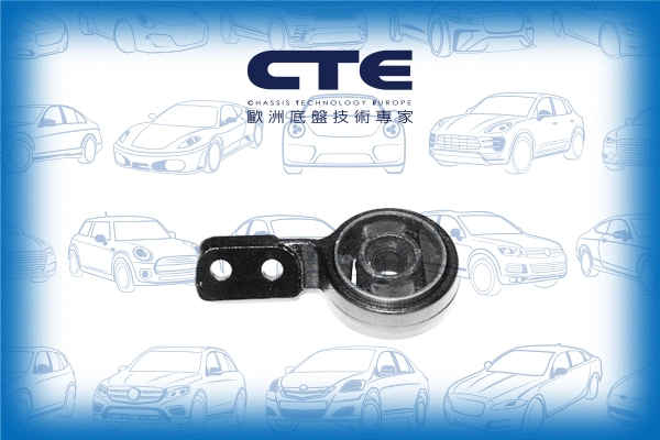 Mounting, control/trailing arm (CBH09017R)