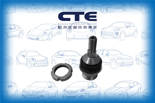 Ball Joint (CBJ21010)