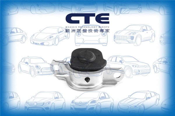 Mounting, control/trailing arm (CBH05025L)