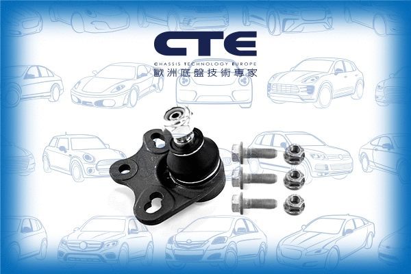 Ball Joint (CBJ21005A)