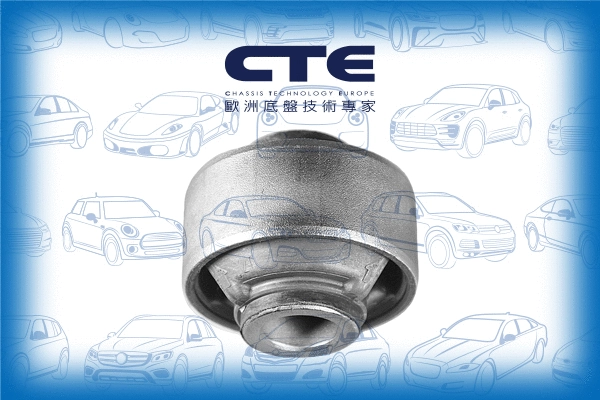 Mounting, control/trailing arm (CBH01048)