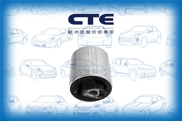 Mounting, control/trailing arm (CBH09023)