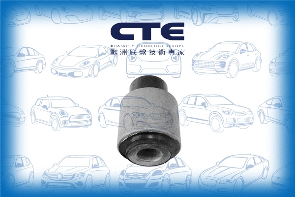Mounting, control/trailing arm (CBH16008)