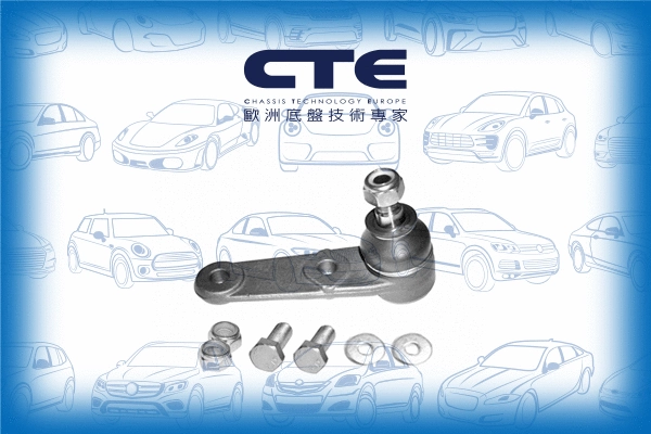 Ball Joint (CBJ17005A)