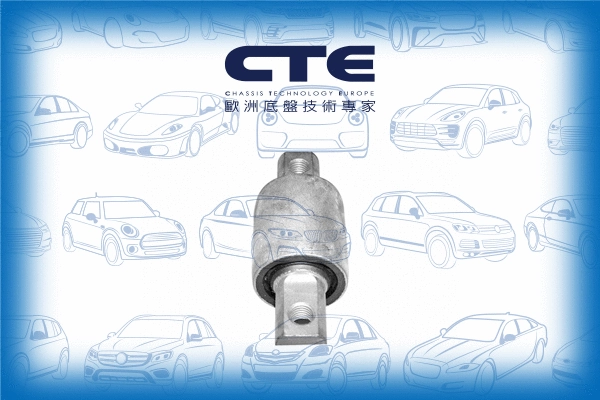 Mounting, control/trailing arm (CBH17004)