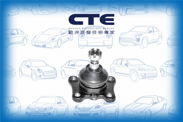 Ball Joint (CBJ02011)