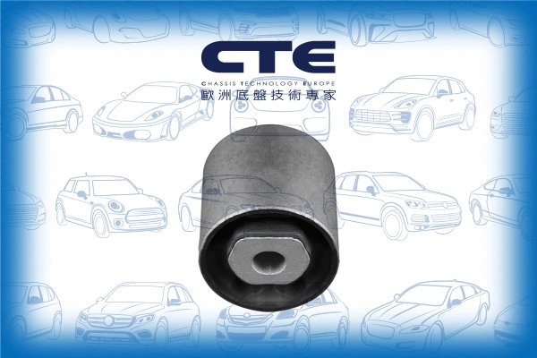 Mounting, control/trailing arm (CBH31010)