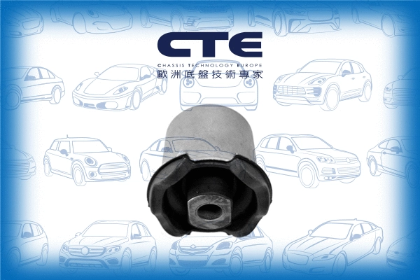 Mounting, control/trailing arm (CBH31007)