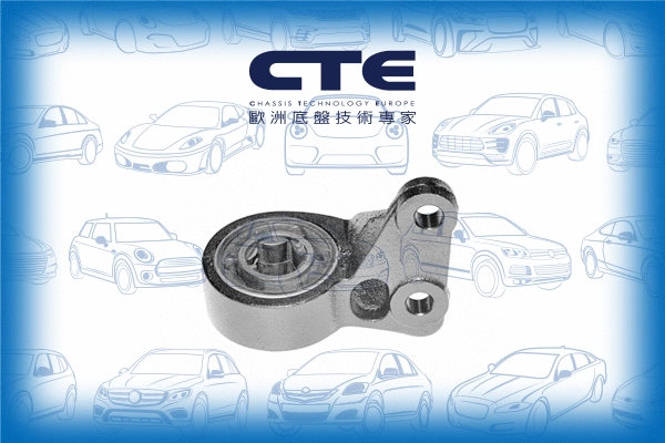 Mounting, control/trailing arm (CBH31003R)