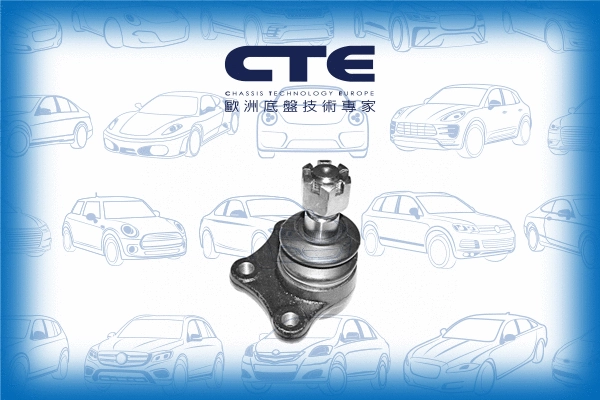Ball Joint (CBJ03010)