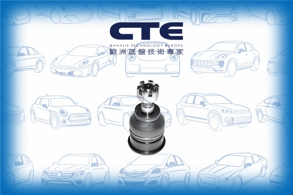 Ball Joint (CBJ06004)