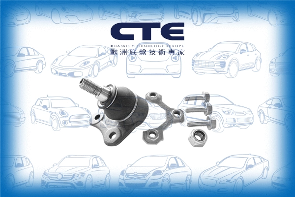 Ball Joint (CBJ19008RA)