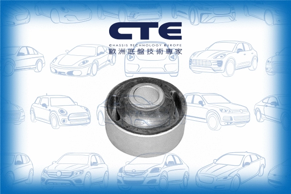 Mounting, control/trailing arm (CBH20004)