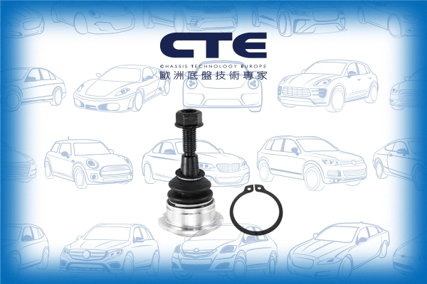 Ball Joint (CBJ31008)