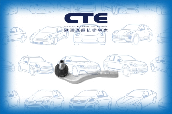 Tie Rod End (CTE21002L)