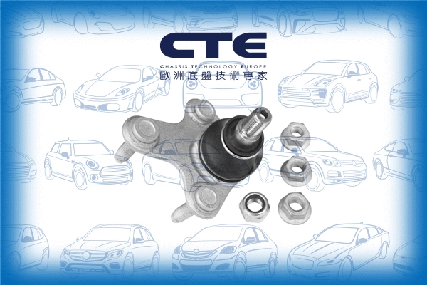 Ball Joint (CBJ20008RA)