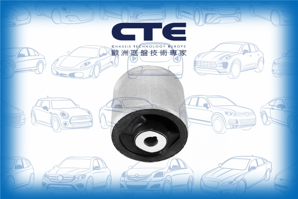 Mounting, control/trailing arm (CBH19027)