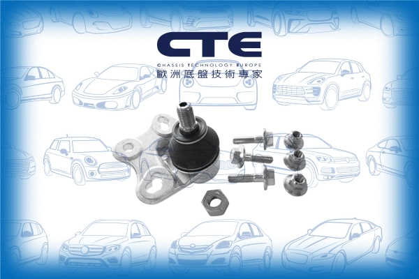 Ball Joint (CBJ21003A)