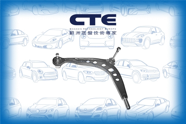 Control/Trailing Arm, wheel suspension (CS-909L)