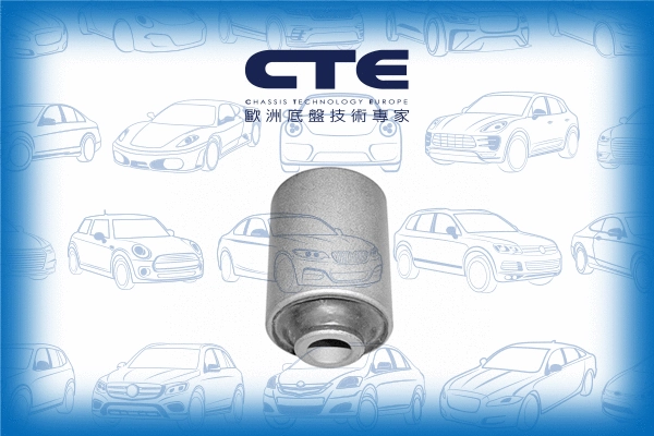 Mounting, control/trailing arm (CBH03031)