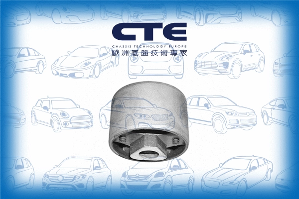 Mounting, control/trailing arm (CBH09003)