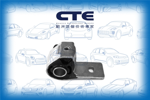 Mounting, control/trailing arm (CBH16005)