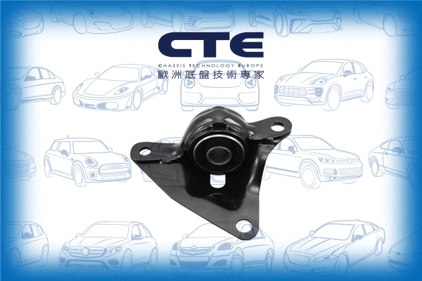 Mounting, control/trailing arm (CBH01046R)
