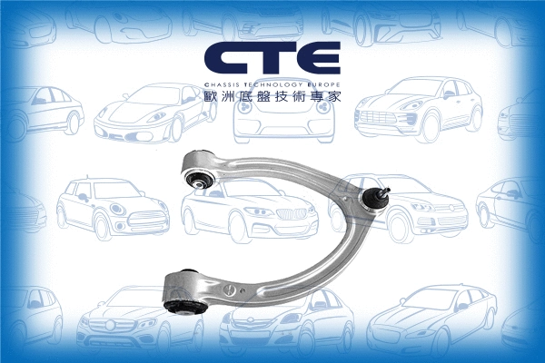 Control/Trailing Arm, wheel suspension (CS-2119R)