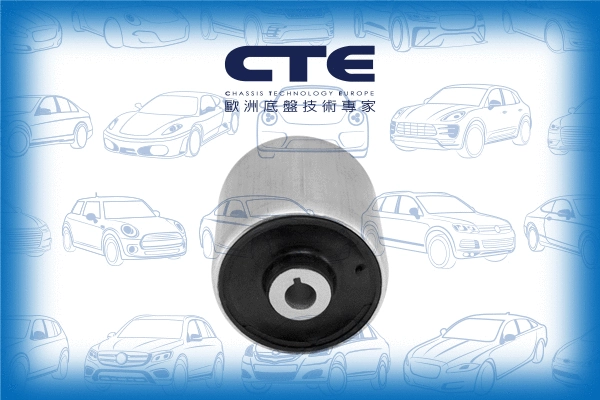 Mounting, control/trailing arm (CBH09047)
