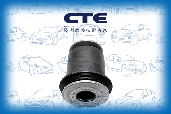 Mounting, control/trailing arm (CBH02063)