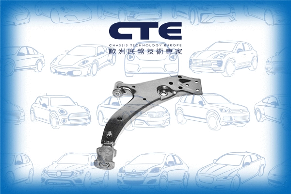 Control/Trailing Arm, wheel suspension (CS-234R)