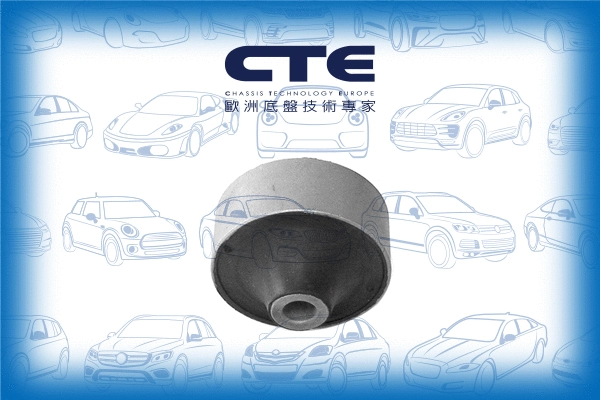 Mounting, control/trailing arm (CBH15018)