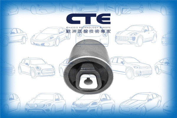 Mounting, control/trailing arm (CBH09049)