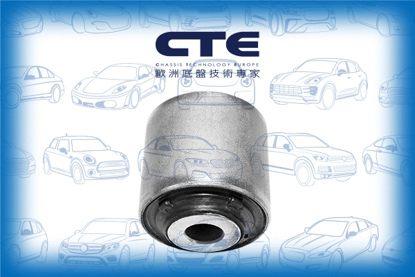 Mounting, control/trailing arm (CBH03088)