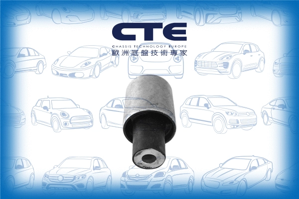 Mounting, control/trailing arm (CBH21010)