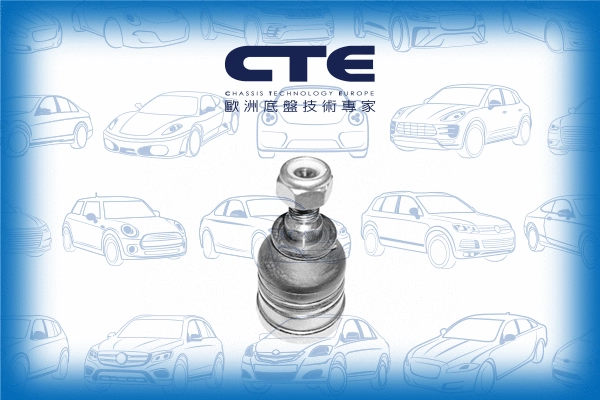 Ball Joint (CBJ05010)